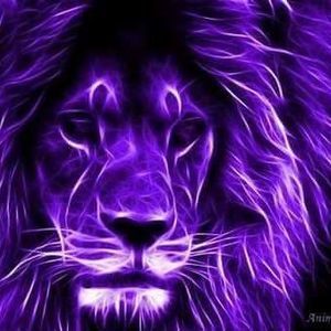 Meet your Posher, Johnett